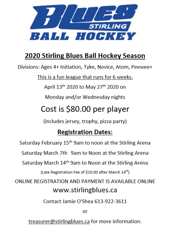 2020_Blues_ball_hockey.jpg